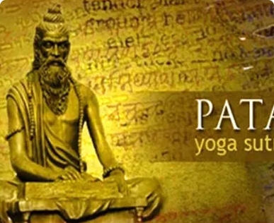 Expert Advice Straight to You